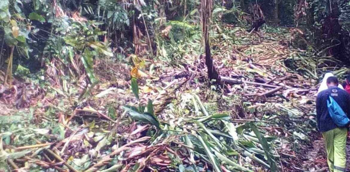 Rusaknya TNGHS di Sesalkan Komunitas Kaki Daun