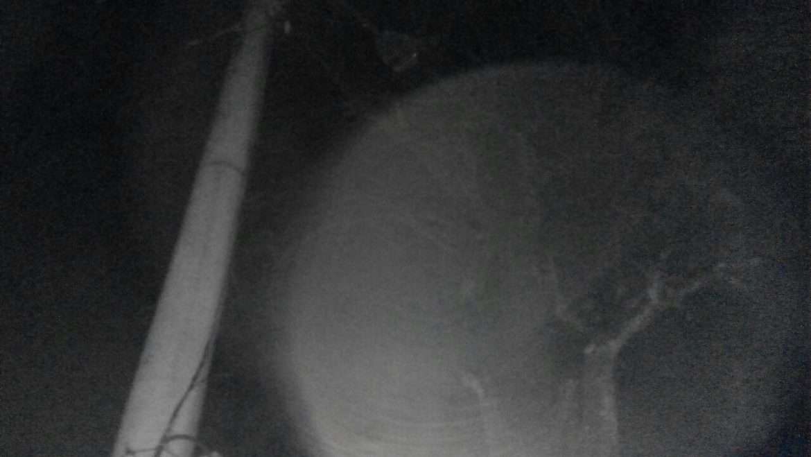 Lampu Penerangan Minim dan Tak Berfungsi, Pengendara Harus Waspada Melintasi Jalan Penghubung Lebak Bogor