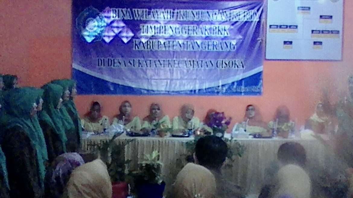 Bina Wilayah TP PKK Kabupaten Tangerang, Hj. Uum Paparkan Terbentuknya 4 Pokja