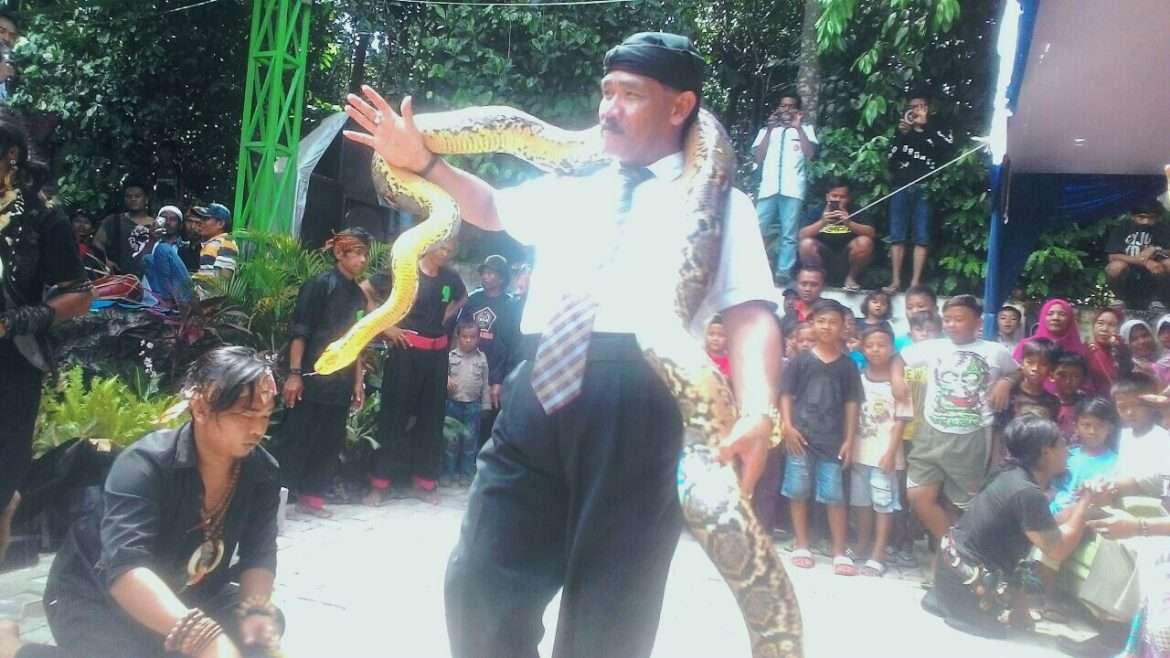 HUT Desa Tambang Ayam ke 6, Kades Atraksi Bersama Ular