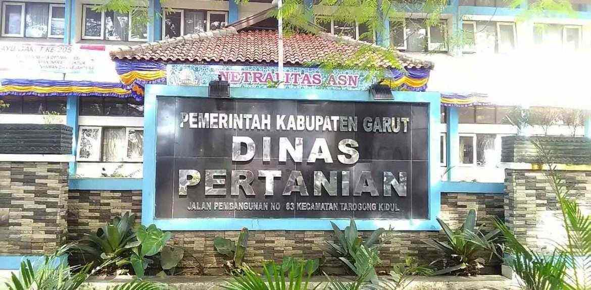 Mengembalikan Citra dan Ketenaran Jeruk Garut , Kadistan Garut Akan Gelar Citroen Vaganza