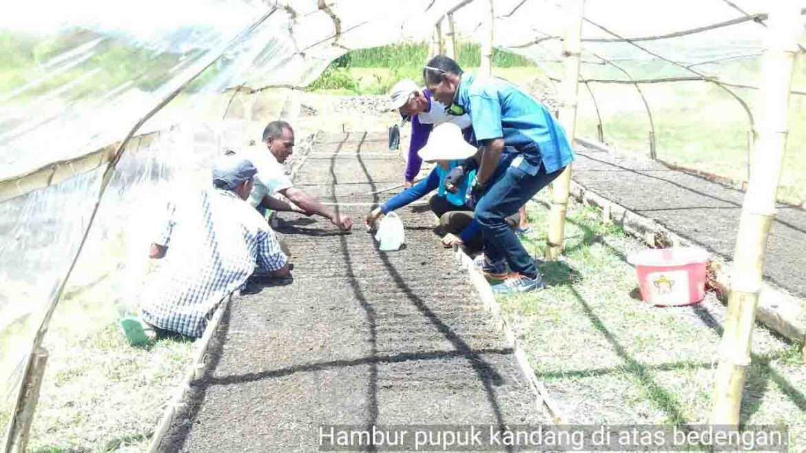 Malaka Siap Jadi Sentra Bawang di Daerah Perbatasan