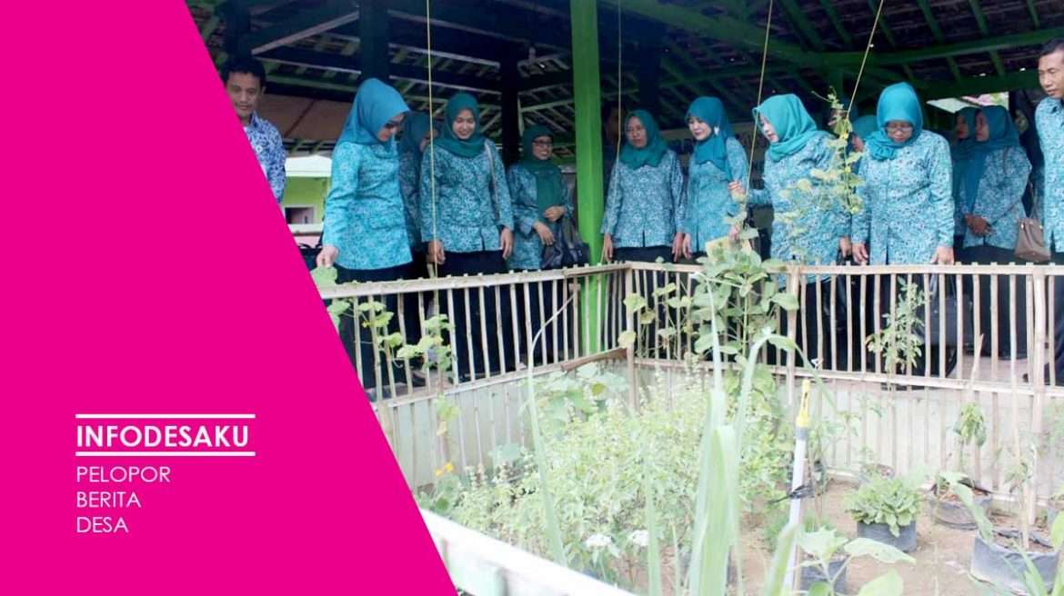 Lomba Green and Clean, Tim Kabupaten Tinjau  RT 1 RW 1 Desa Jatisari Kecamatan Senori