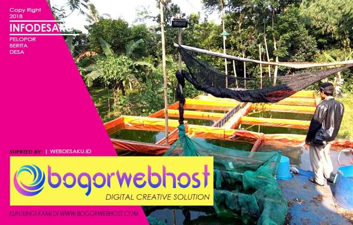Supardi, Sukses Kembangkan Lele Sangkuriang
