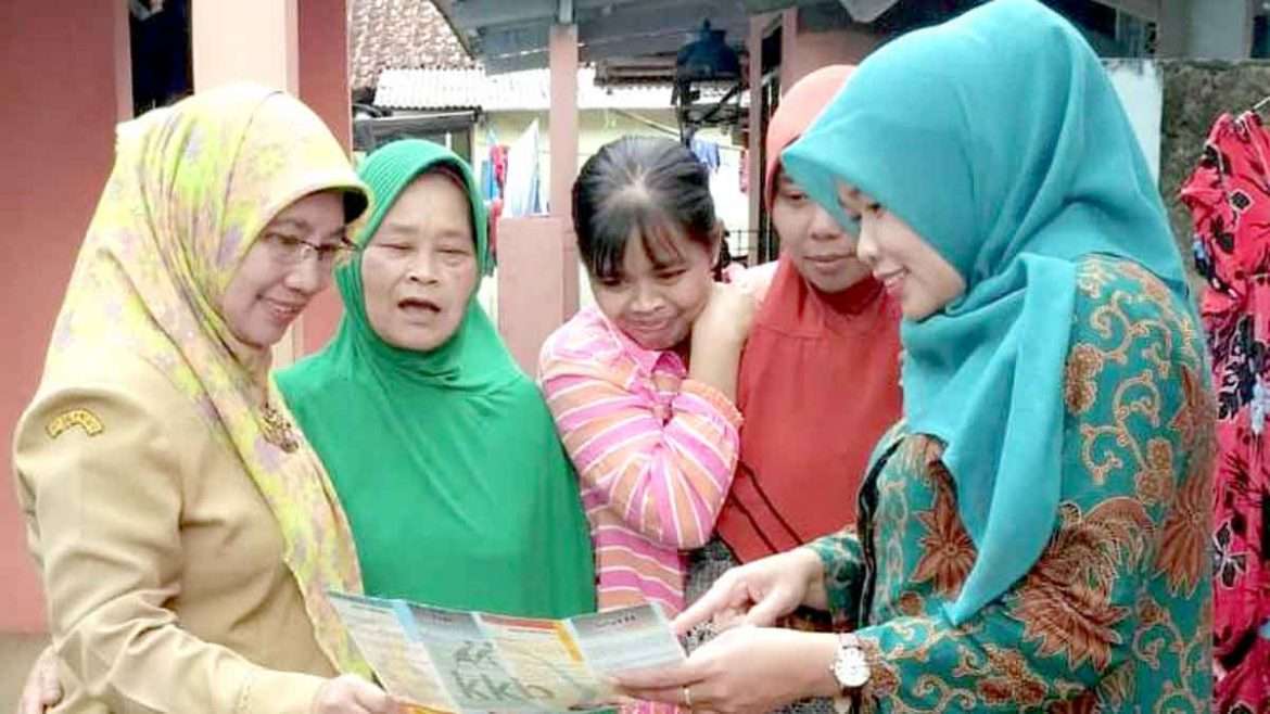 Sinergitas PLKB Dengan PKK