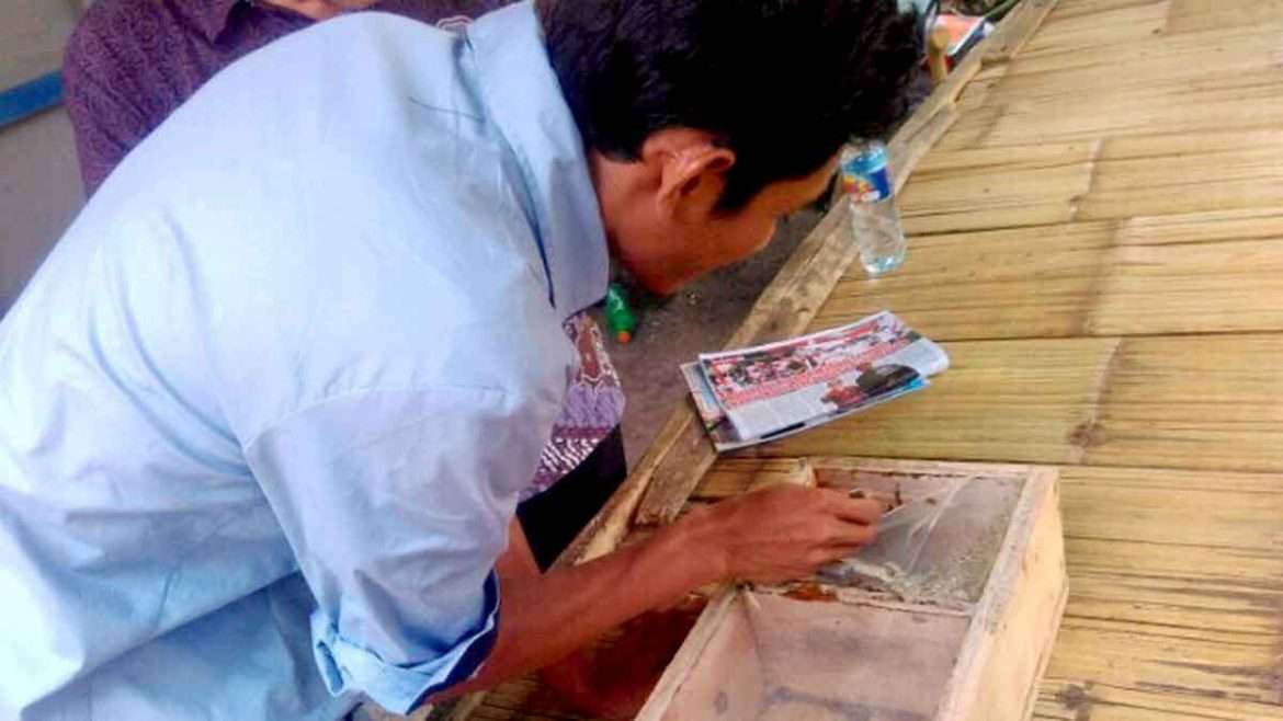 Edukasi Ternak Trigona Mampu Dongkrak Destinasi Wisata