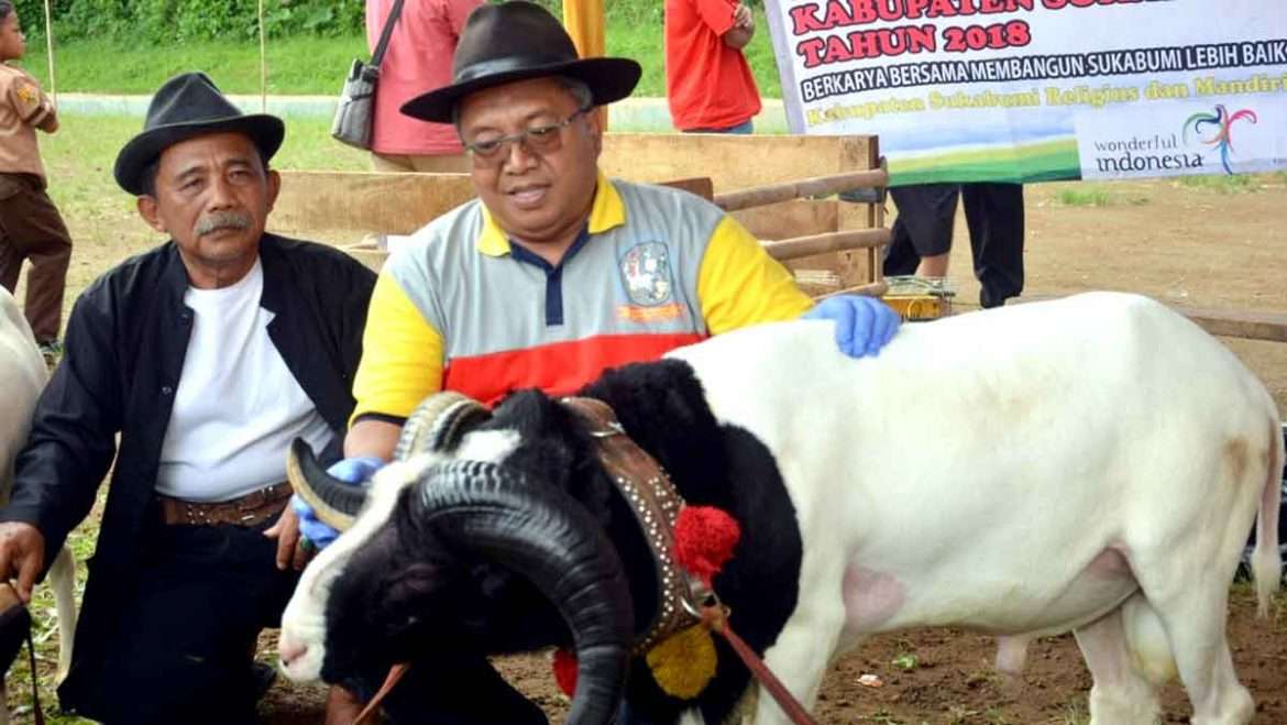 Pemkab Sukabumi Menggelar Inovasi Aneka Ternak Hewan