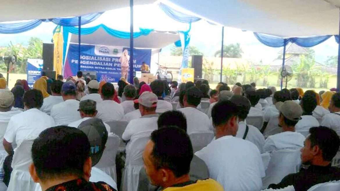 Sosialisasi dan Pengembangan KKBPK