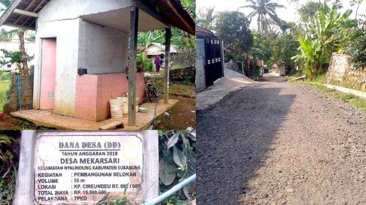 Anggaran Proyek Dana Desa Mekarsari Diduga Bermasalah