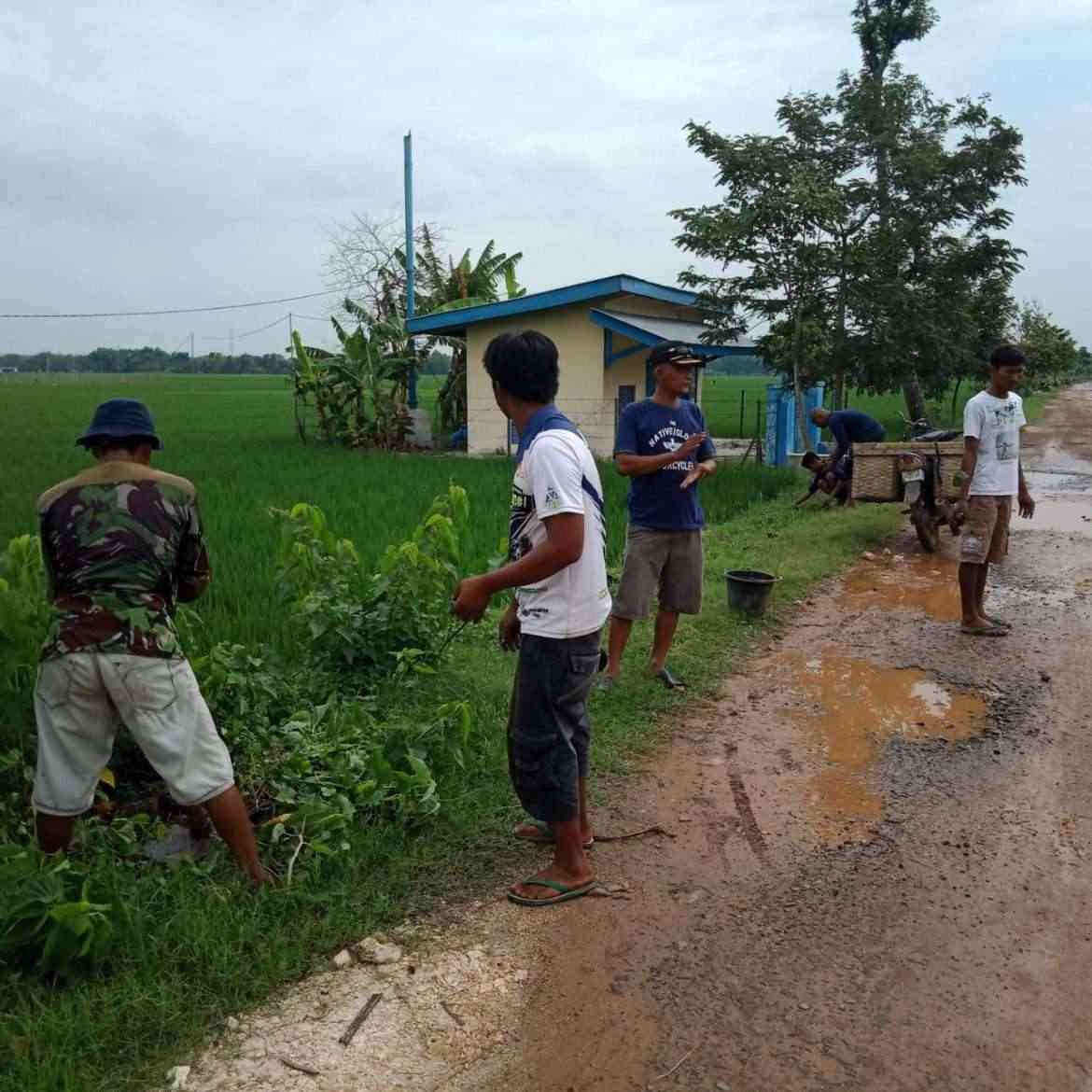 ARSUMPALA Peringati Hari Jadi Kota Blora Dengan Reboisasi