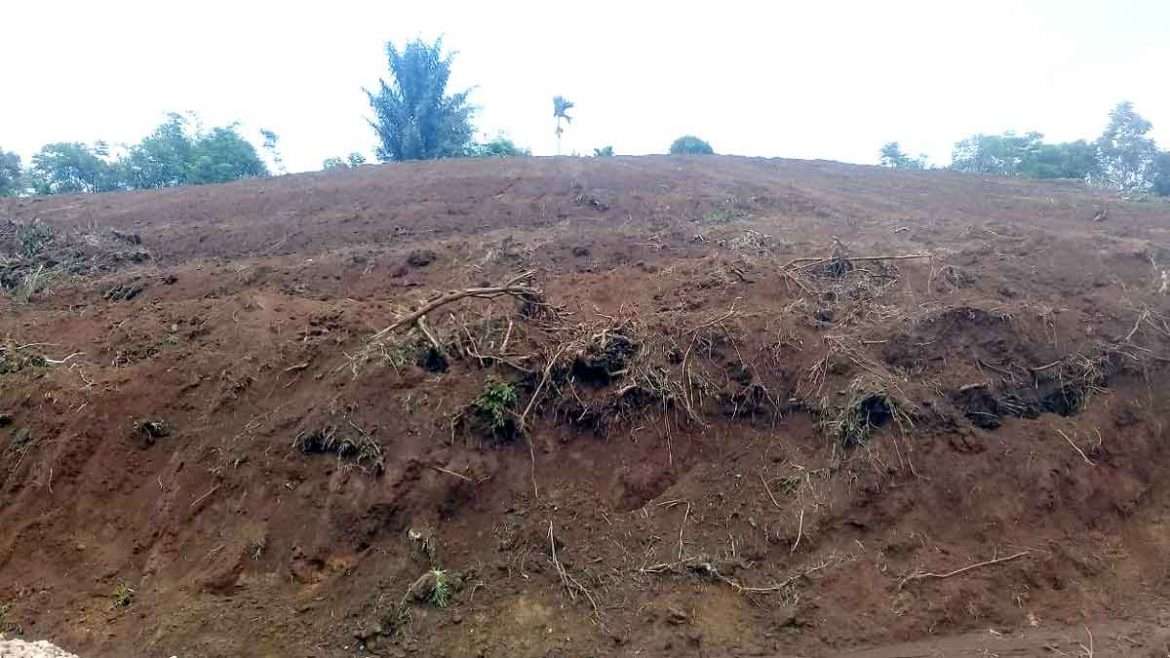 Rencana Penanaman Sawit di Lahan PT PN VIII Parakansalak Ditolak Warga