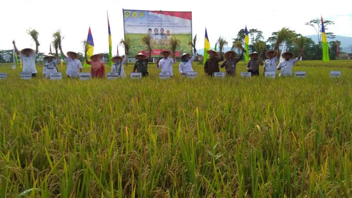 Bupati Bogor Optimis Bogor Sanggup Swasembada Beras