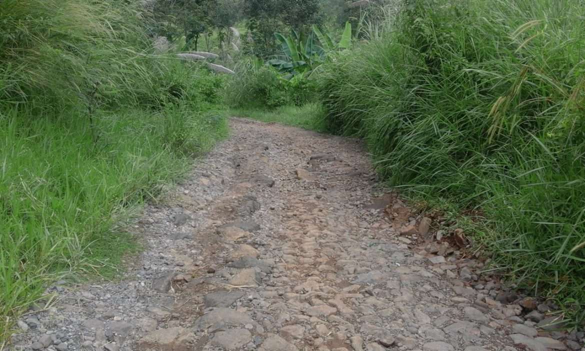 Jalan Kabupaten Penghubung Dua Desa Menghawatirkan