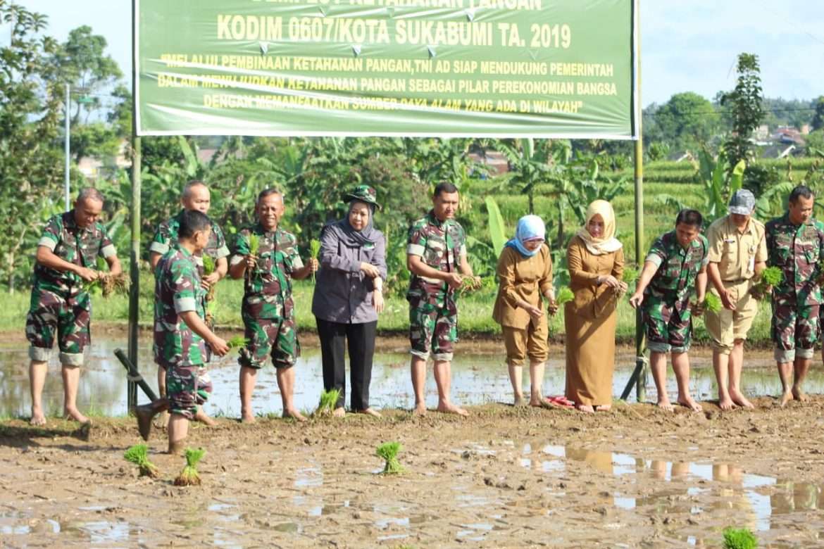Dandim 0607 Terjun ke Sawah Demi Ketahanan Pangan