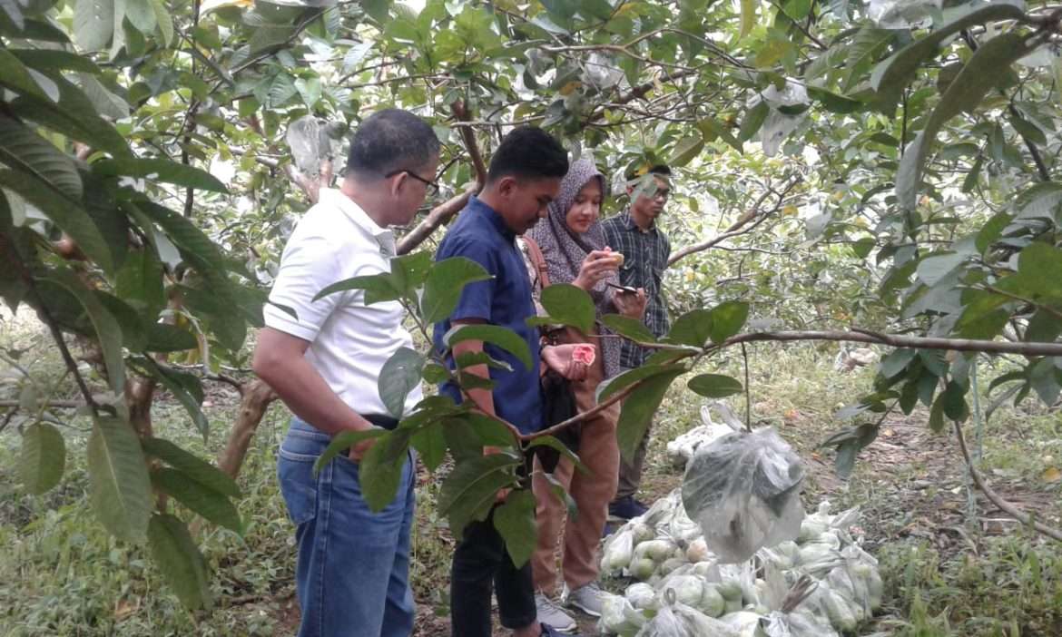 Peneliti BPP Kemendagri Melakukan Uji Petik Desa Digital di Desa Cijengkol