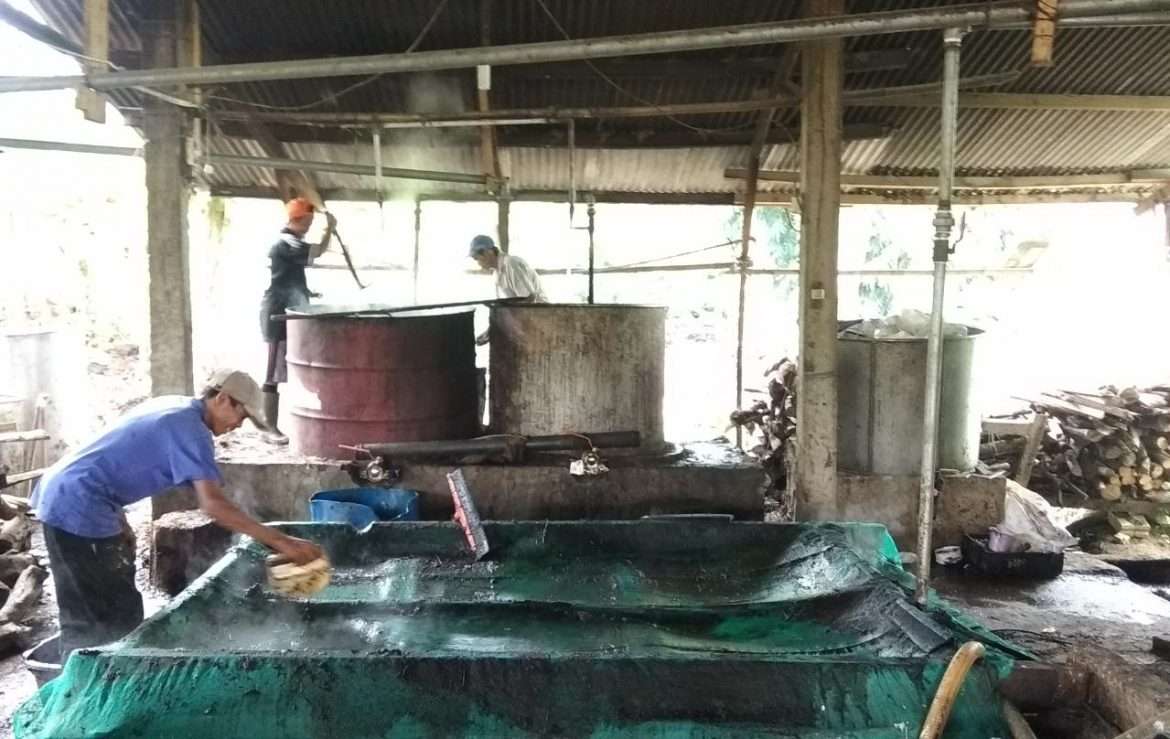 Industri Rumahan Cincau Sedikit Ada Penurunan di Tahun 2019
