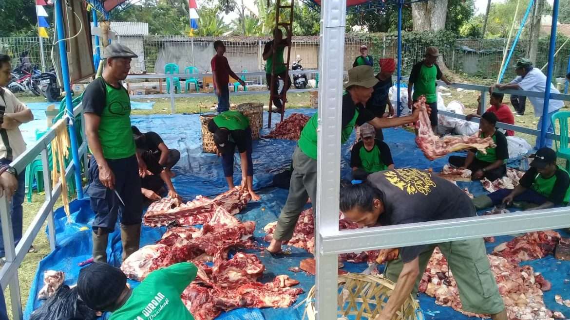 Panitia Qurban Kampung Pakuhaji Salurkan 1200 Peket Daging