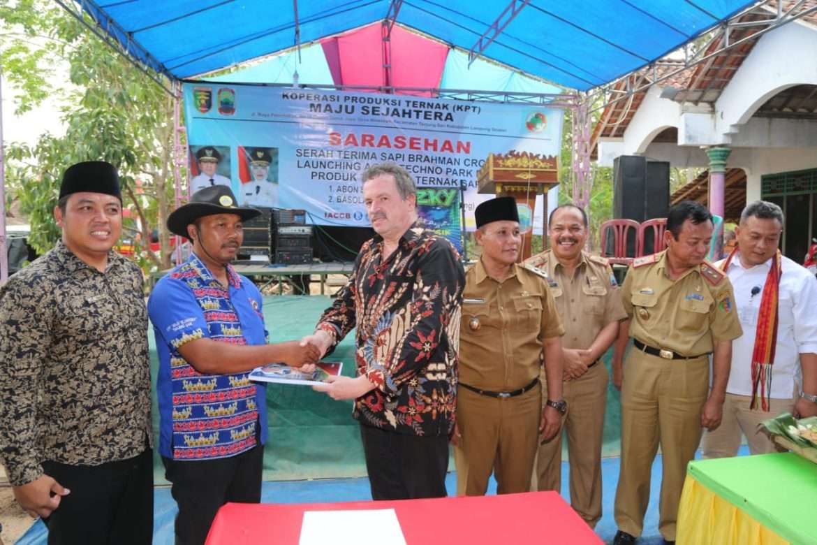 IACCB Serahkan Bantuan Sebanyak 106 Ekor Sapi Brahman Cros, Yang Diterima KPT Maju Sejahtera
