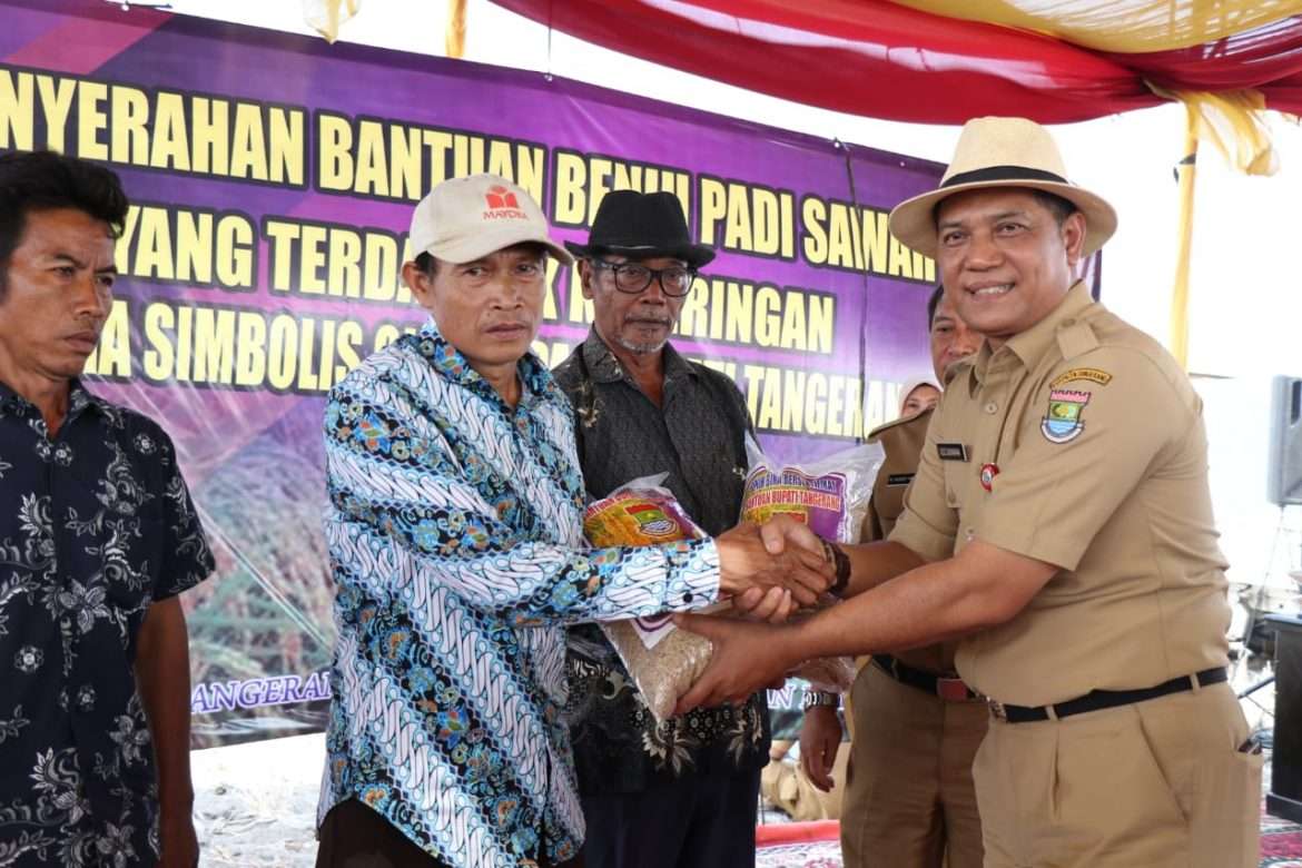 Pemkab Tangerang  Gelontorkan 6 Ton Benih Padi Kepada Poktan