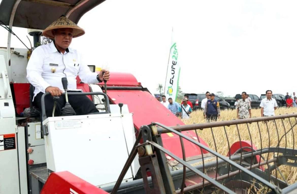 Dalam Rangka Hut Perkebunan Ke-62, Nanang Ermanto, Terima Penghargaan Dari Dirjend Perkebunan RI