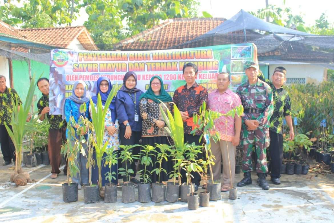 Kades Kedungwungu Salurkan Bantuan Ternak Dan Bibit Pohon