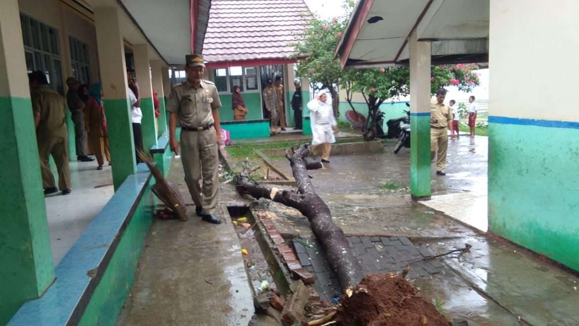 Akibat Puting Beliung Sebuah Pohon Menimpa Bangunan SDN Sukasirna 03