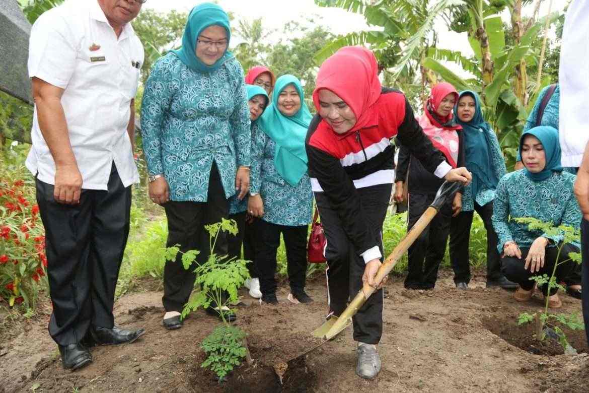 Jelang Penilaian Tingkat Nasional, TP PKK Lamsel Evaluasi di Desa Taman Agung