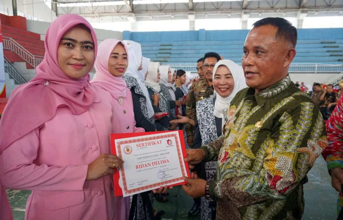 Nanang Ermanto Hadiri Pengukuhan Bidan Delima Kabupaten Lampung Selatan, 19 Ranting Terima Penghargaan