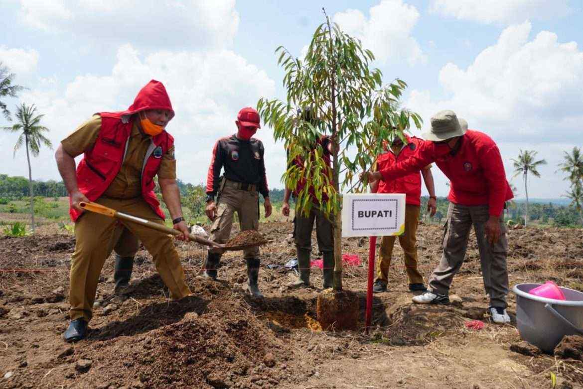 Diproyeksi Jadi Kebun Edukatif, Nanang Tanam Ratusan Pohon Durian dan Alpukat