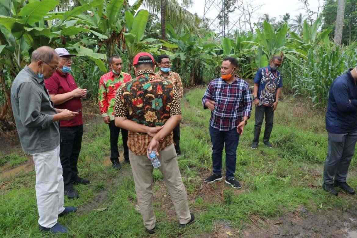 Ketua Komisi IV DPR RI Sudin, Nanang Ermanto Akan Bangun Pembibitan Perkebunan di Ibukota