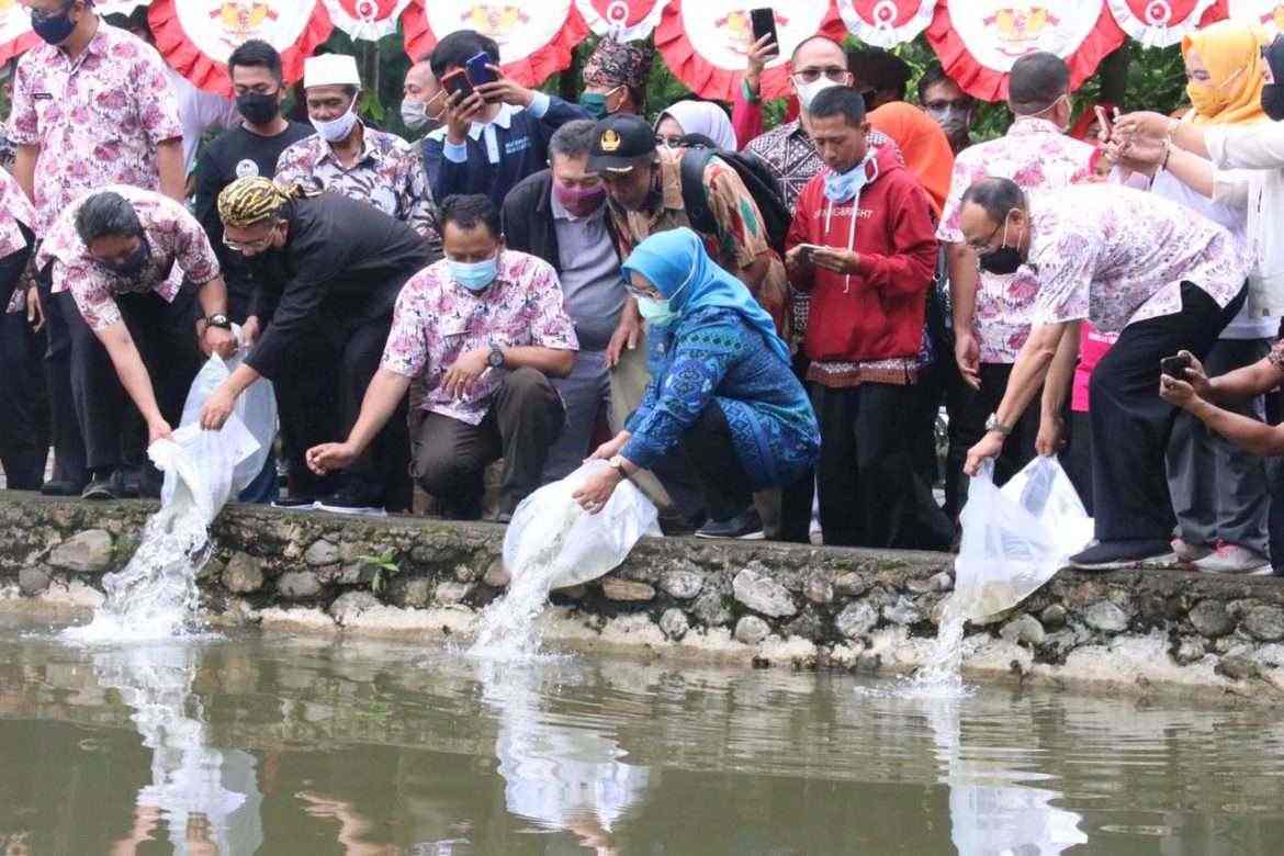 Bupati Bogor Berikan Bantuan Ternak Ayam dan Benih Ikan Kepada Pembudidaya di Desa Gunung Sari