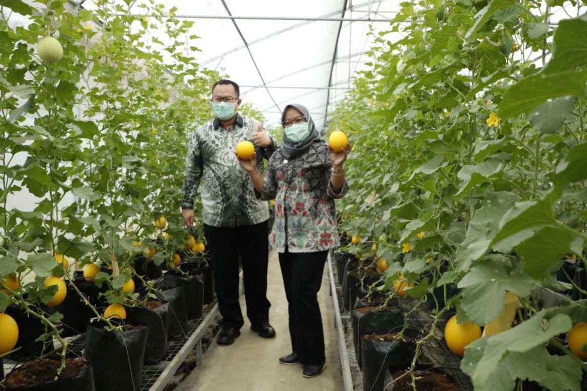 Pemkab Bogor dan IPB Terus Bersinergi dalam Mengembangkan Potensi Pertanian