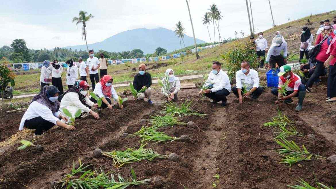 Bupati Tanam 150 Jenis Tanaman Toga Untuk Pengembangan Kebun Edukasi