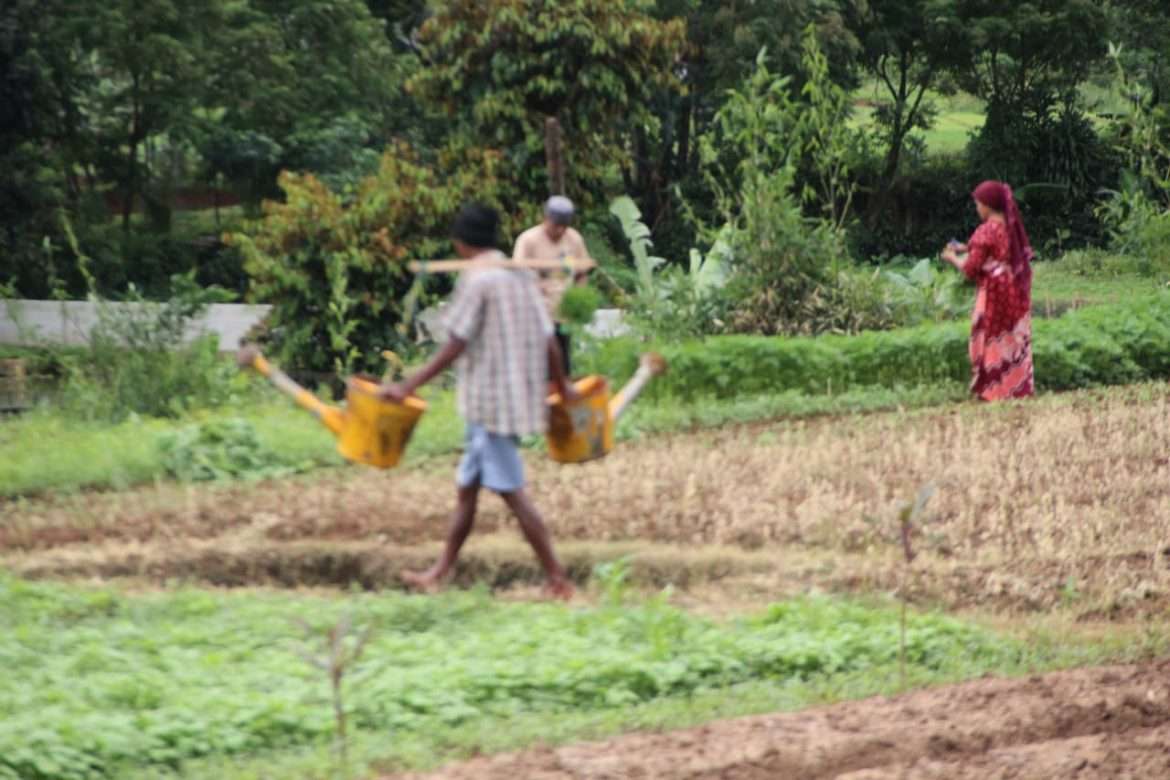 Tak Ada Irigasi Petani Desa Cijujung Menderita, Target PBB Jadi Tekor